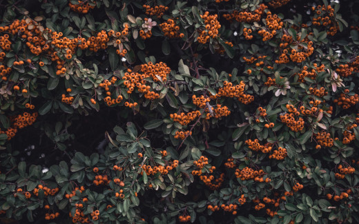 1480233 (a): :2560x1600
